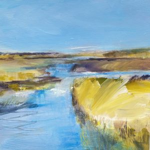 View near the Watch House at Blakeney Point
